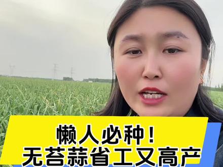种蒜不想抽苔?就选这个无苔蒜种!#大蒜 #三农 #无苔蒜种 #大蒜种植技术和施肥技术 #党集刘凯农资