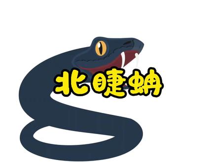 北睫蚺:神秘又可爱的蛇蛇~#蛇 #蛇类科普 #蛇蛇教 #蛇🐍 #冷知识科普