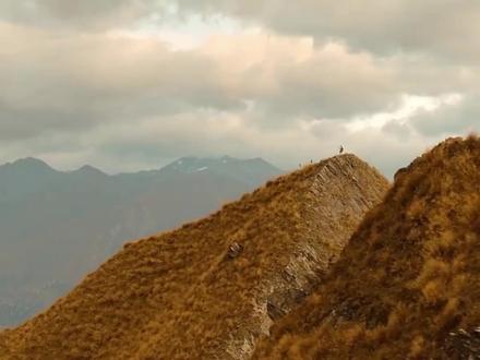 【调色插件】红巨星全能调色套装插件汉化版来啦!一键让你的视频氛围感拉满!#调色 #插件 #滤镜 #视频制作 #后期特效 #影视后期