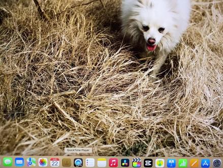 Mac电脑内录声音,Mac声音管理大师loopback #macbookpro #macbook #电脑知识