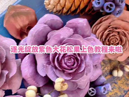 逐光绽放紫色大花上色教程夹啦 #真实生活分享计划 #松果制作 #创意松果 #松塔创意手工材料包 #手工diy