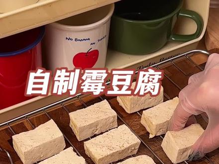 一想到三天后我将拥有一板霉豆腐就兴奋#霉豆腐 #自制毛豆腐 #万物皆可霉豆腐