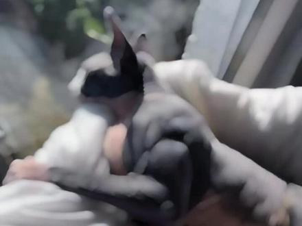 “自己的身材都掌控不了,凭什么掌控人生。”#精神氮泵 #励志健身#肌肉