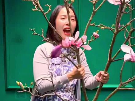 想要给家里添一抹优雅又不占地方的绿植吗?试试水培玉兰吧!玉兰 花本身自带古典韵味,配上透明玻璃瓶水培,更是简洁清新感十足。动手也不难,剪一段健康的玉兰枝条,底部斜切扩大吸水面积。找个好看的玻璃瓶装满清水,最好用雨水或静置过的自来水,减少氯气影响。枝条插进去后放在散射光充足的地方,避免阳光直射。初期每两三天换一次水,耐心等待生根。大约一两周就能看到白色细根慢慢长出。生根后可以延长换水频率,一周一次就够了。平时注意水位别太低,及时补充清水。偶尔加点水培营养液,叶子会更翠绿挺拔。水培玉兰花干净好打理,还不容易招虫,特别适合放在书桌或窗台。看根系在水中蔓延,配上玉兰特有的淡雅花香,简直是视觉和嗅觉的双重享受!快动手试试,给生活加点自然气息~