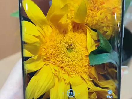 手机重复文件太多怎么办?华为重复文件压缩功能帮您解决!#华为好物江西推荐 #种草 #Mate50 #好物推荐🔥