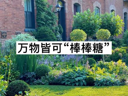 万物皆可“棒棒糖”!#景观 #植物 #棒棒糖 #亮晶女贞 #分享 #庭院花卉 #蓝雪花棒棒糖 #景观设计