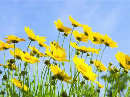 "从前从前,有个人爱你很久#晴天 #周杰伦 #周杰伦音乐 #周杰伦演唱会