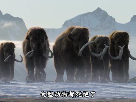 你鳄鱼叔叔啊又美美隐身了,一个死亡翻滚硬生生用了两亿年 #鳄鱼 #地球online #鳄鱼叔叔 #进化