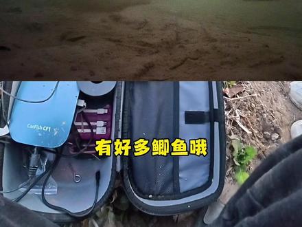 冬天为什么钓不到 原来是没找到鱼窝
#钓鱼才是抖音运动顶流
#canfishcf1 #水下摄像头
#钓鱼技巧 #钓鱼人的精神无人能比