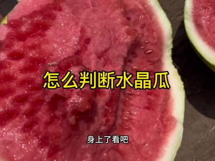 怎么判断水晶瓜#新农人计划2023 #西瓜种植 #三农 #农业种植