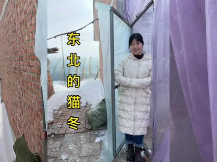 东北的猫冬生活马上结束了#东北农村生活 #乡村守护者 #返乡创业新农人 #新农人2022乡村振兴