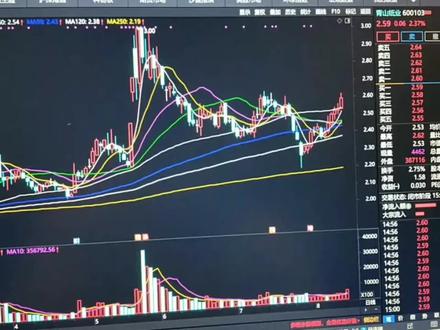 这五只股票 看看有哪几支