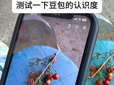 今天我们来测试一下豆包 #日常 #日常生活