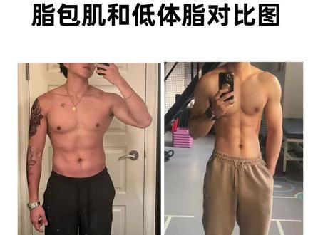 什么样才算脂包肌,你符合这个数据吗?#健身干货