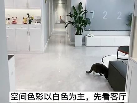 合肥全屋整装装饰公司,装饰公司展示轻奢现代风格全屋整装装修设计后的案例效果图 #全屋整装