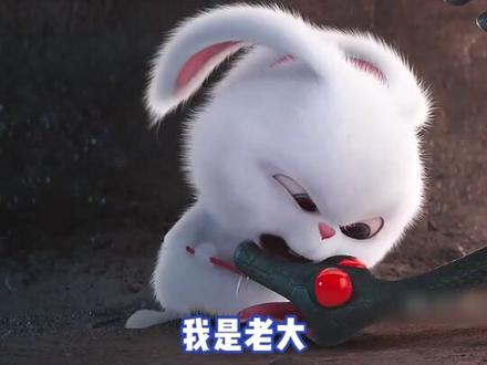 小兔子说话太反差了#爱宠大机密 #鹅滴神片