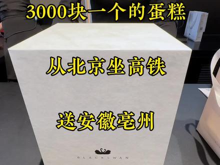 3000块钱一个的蛋糕从北京坐高铁送到安徽亳州#黑天鹅蛋糕 #蛋糕 #亳州 #生活必备平价好物#生日礼物