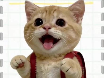 小喵小喵大学习之兵役登记#兵役登记 #小猫大学习#猫meme #青年大学习