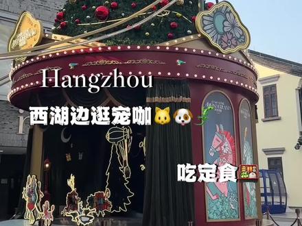 杭州土著私藏!杭城首家三合一宠咖🐱🐶🦎和本地人一起逛吃city walk!#真实生活分享计划 #杭州游玩 #慢宠时钟 #猫咖 #狗咖
