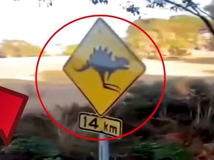 森林中出现未知生物警示牌