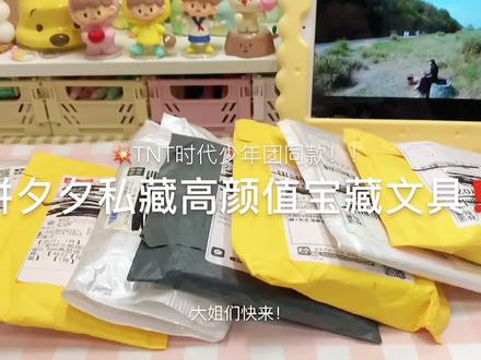 没想到崽崽们也用这么平价的文具呀~#文具安利 #tnt #开箱视频