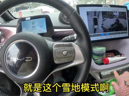 比亚迪海豚的雪地模式,啥也不是~根本不管用~ #雪地模式 #后驱车 #冰雪路面 #下雪天 #比亚迪海豚 #比亚迪 #新能源汽车 #下雪的路面 #下雪的路面怎么开车 #暴雪来袭