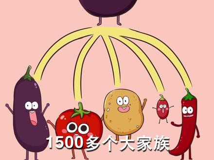 你没有看错,它们都是一家子!#茄科 #茄子 #土豆 @DOU+小助手