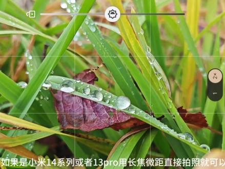 手机怎么拍水珠#小米13 #小米14 #摄影 #随拍 #谷歌相机