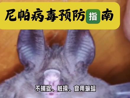 尼帕病毒毒预防病毒。