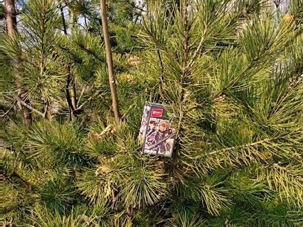 国产积木拼搭:三角洲行动#三角洲行动 #三角洲 #积木 #乐高 #军事人仔