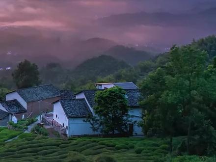 娶不到老婆的男人,将来老了该怎么办?一个办法,有可能不再光棍#婚姻 #农村单身小伙 #三无男人 #三观正