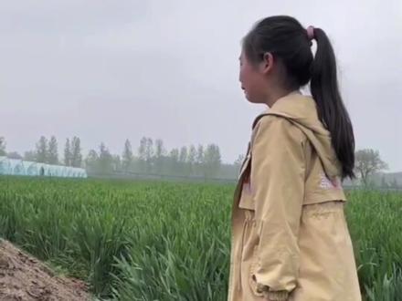 @高空杂技张凯 #高空杂技张凯
