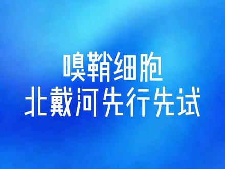 嗅鞘细胞,北戴河先行先试 #脑卒中 #帕金森 #先行先试