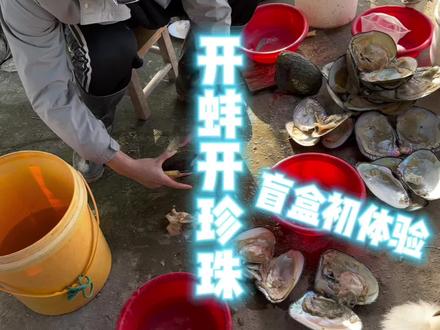 开珍珠蚌啦!开珍珠不如自己开 体验盲盒的快乐!来看看成果值不值#开蚌取珍珠 #记录真实生活 #天然珍珠 #寻宝 #日常vlog