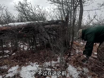 身处在寒冷的西伯利亚,男人依托一颗枯树搭建木屋。 #荒野建造 #野外生存 #庇护所建造 #荒野求生 #助眠
