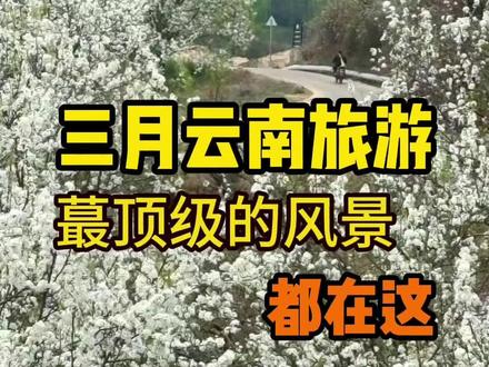 三月份来云南,分享一条超绝云南小众旅游路线#新年旅行第一站 #云南旅游攻略 #云南小众旅行 ##6070后 #退休旅行