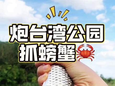 山江边免费抓小螃蟹🦀+亲子陪伴的欢乐时 宝子们!今天我来分享一个超级有趣的亲子活动——宝山江边免费抓小螃蟹🦀!
🌟开场白:你带娃去“抓螃蟹”吗?
这个周末,我们来点不一样的——抓螃蟹!是的,你没听错,就是那个躲在石头缝里的小家伙们。而且,地点就在吴淞炮台湾湿地公园,最重要的是:免门票!免预约!停车超方便!这简直是遛娃的宝藏地啊!
🚗停车攻略:省39元的秘密武器
先说停车,公园西门路边是可以停的,早点到能停得近一点,费用封顶39元一天。
更省钱的小妙招:海上世界商场地下停车场!注册会员可以免费停4小时
商场里还有星巴克、喜茶、必胜客等,买点饮料零食带上公园,简直不要太方便!
🎯必备物品清单:别忘了这些“神器”
1. 露营车:去程运食物,回程运那柔弱不能自理的娃,必备!
2. 水和食物:户外活动消耗大,补充能量很重要。
3. 防晒用品:太阳可不客气,防晒霜、帽子、墨镜统统安排上。
4. 手套、旧裤子和鞋子:抓螃蟹时会弄脏衣服,(多备一身衣物)穿得破一点没关系。
🦀抓螃蟹实战指南:
地点在靠近江边的地方,芦苇荡附近螃蟹很大,有人人家抓了一桶😂。
建议大家带上铲子 、肉🥩+猪肝、捞网等小工具,小朋友一定会玩得不亦乐乎。不过要注意安全,海边乱石那很多人抓螃蟹,但其实有点危险,而且像我们这种没啥经验的也抓不到。
🏕️露营体验:大草坪上的快乐时光
公园有好几片大草坪,露营、野餐都可,烧烤有专门区域哦!还有小朋友玩的一些游乐设施~不过个人觉得里面搭帐篷太费时间,大草坪好像是拦起来了,其他地方地面不平整不适合搭,而且装备太多也不太好跑来跑去。带个毯子在树荫下面感觉非常nice~
🚫注意事项:别踩雷区!
1. 不能带宠物
2. 广场不能放风筝 会被保安阻止
3. 不能逗狗行为等(此处原文显示不全 )