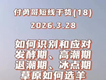 付勇哥分享短线干货,性格决定模式的重要性,如何分辨四个周期,草原中如何选🐏。超多干货。
#付勇 #勇哥说财经 #全能的野人 #股票 #股票干货 @DOU+小助手 付勇哥直播20260328