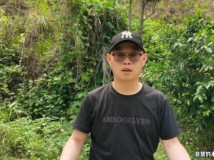 都说加了山奈的酒米窝料能爆护,真有那么厉害?水下测试揭露真相 #钓鱼人 #钓鱼知识 #窝料配方 #钓鱼那些事