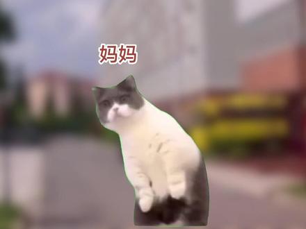 爸妈接孩子放学的区别 #内容过于真实