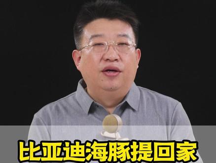 比亚迪海豚新车提回家,怎么设置?手把手教程来了#比亚迪海豚 #比亚迪 #驾驶知识 #每天一个用车知识