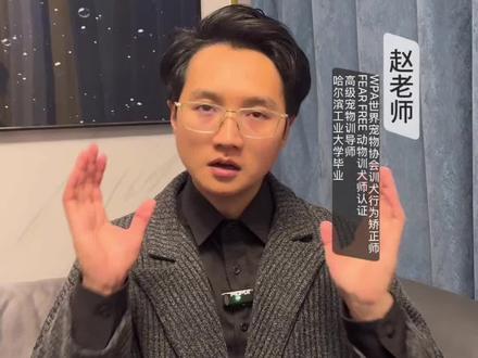 【赵老师宠物冷知识系列】 狗狗拉屎前为什么要转圈?它在找“北”!#宠物行为解读 #宠物冷知识 #养宠 #养狗经验分享 #狗狗拉屎转圈圈