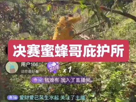 蜜蜂哥阿乐在七星山荒野求生进入决赛第一天赛场