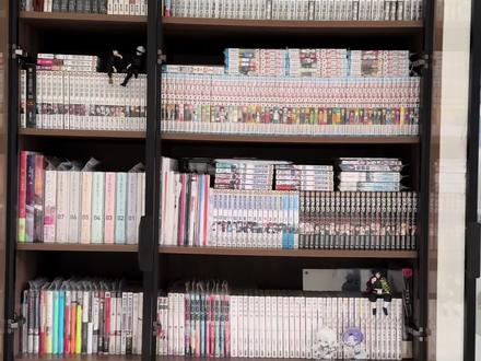 怎么不算文化人呢 #二次元 #漫画 #书柜 #实体书