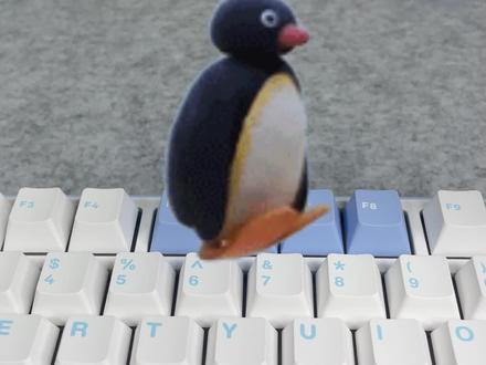 RKR75买前必看 #热门 #rkr75 #键盘 #选购指南