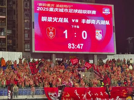 渝超四分之一决赛铜梁火龙队1-0绝杀丰都南天湖队#渝超联赛