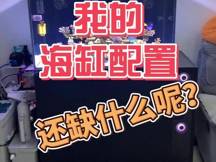 我的90硬骨缸,还缺什么设备呢?来留言一下
#启航蛋分 #海缸日记 #硬骨珊瑚 #海缸设备 #算了你肯定觉得没意思 @Maxspect迈光科技