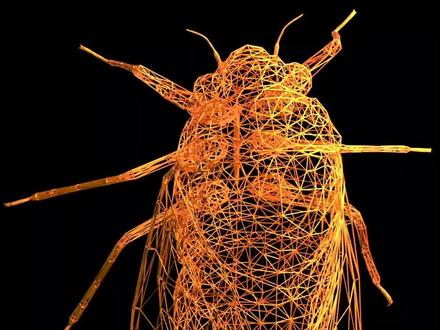 这300亿只17年蝉,数学💯分#数学时刻 #阿里数学竞赛 @阿里达摩院扫地僧