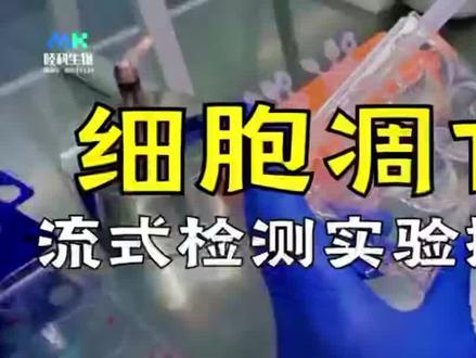 流式检测 ~细胞凋亡具体实验步骤与注意事项#医学科研