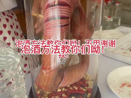 不会泡酒的朋友们看过来啦!教你们泡酒啦!#鹿茸 #养生 #泡酒 #梅花鹿 #农村生活